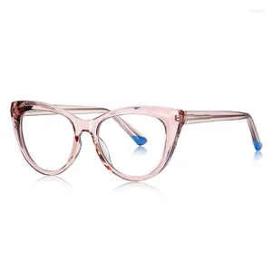 Óculos de sol Doisyer fabricante vendendo olho de gato quadro óptico azul luz bloqueando óculos tr90 para homens mulheres multi cor eyewear