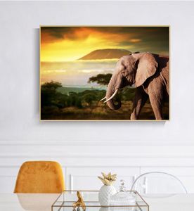 現代の動物の風景ポスターとプリントウォールアートキャンバス絵画リビングルームの装飾のためのアフリカの象の写真なしFrame7311212