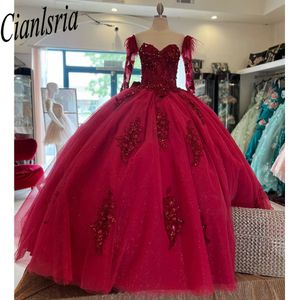Burgundy Tatlım Quinceanera Elbise 15 Parti Resmi Elbise Balosu 16 Doğum Günü Prenses Elbise için Pırıltılı Dantel