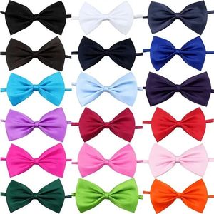 50pcs Mix Color Bow Ties Bowknot para Cães Cat Grooming Acessórios Pequenos Animais Crianças Ajustável Bowtie Produto para Animais de Estimação Atacado 240311