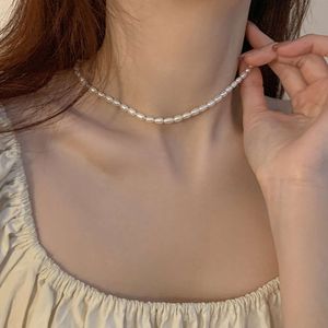 Stylish Circle Pearl Pendant Halsband för män- 14K Guldpläterad titan Snake Chain Jewelry
