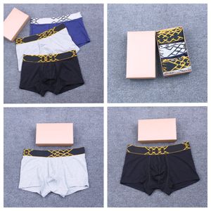 مصممي الملابس الداخلية للرجال 2024 BUR Fashion Boxer Beasable Boxer Mans Interpants Lefult Classic Sexy Strid