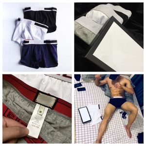 Herres designer boxer korta underbyxor shorts mens vintage sexig underkläder casual korta bomullsunderpanties 3 färg blandning boxare med låda