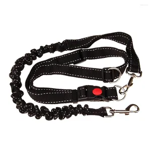 Dog Collars Leash Large Breed Rope Elastic Hands Free Walk The Training Cat Harness Miss Car