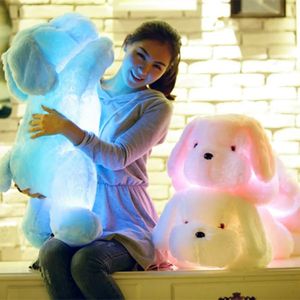 Kawaii Creative Night Light Led Lovely Dog Stuffed Toy and Plys Toys Doll Birthday Christmas Gift for Children Barn Friend 240314