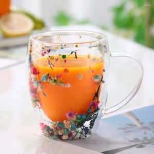 Mugs Floral Dry Flowers Cup Heat Resistant High Borosilicate Glass Tea Coffee Cups INS Trends Simple Double Wall