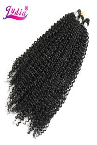 Lydia Bohemian Trecce Estensione dei capelli Capelli ricci all'uncinetto 14quot 1 PZ Colore puro Kanekalon Intrecciatura sintetica sfusa Afro Kinky9345750