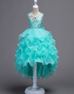 Abiti da sposa bianchi per ragazza di fiori per ragazze Disegni di abiti da festa di ballo Bambini039s Abbigliamento Costume in tulle per vestiti per bambini5442673