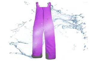 Skihose Outdoor Schnee Winter wasserdichte warme Skihose DoubleLayer winddichte isolierte Overalls1986988