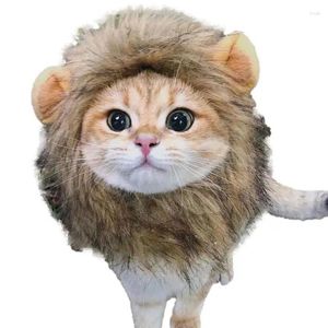 Kedi kostümleri aslan yele peruk kitte giydirme yıkanabilir komik süslü kostüm saç şapkası
