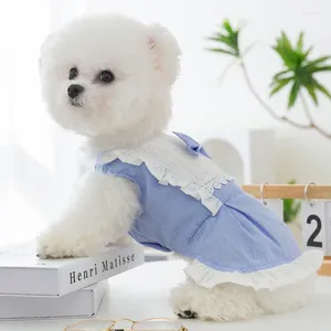 Odzież dla psa moda koronkowe szelki spódnica wiosna i letnie ubrania bowcy sukienki Yorkshire Teddy pudle pudel odzież xs-xl