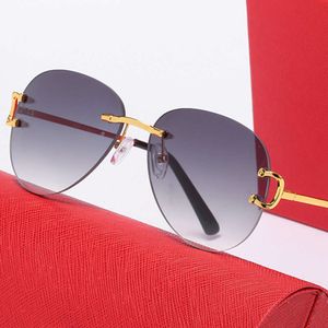 Fashion men Toad Mirror Sunglasses for women Rimless glasses Classic Metal Texture Design Gold Tea Grey Sheets Customizable Prescription elegant eyeglasses gifts