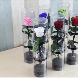 Flores decorativas românticas flores eternas rosas para ocasiões especiais preservadas reais estabilizadas único azul real