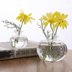 Vasos de alta qualidade romã hidropônico cachepot para flores vaso de flores de vidro