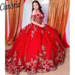 Quinceanera Dresses Tulle Beaded Lace Aptiques
