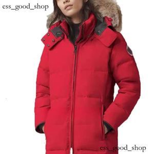 Luxury Designer Canadas Goosejacket Kobieta Canadas Goosee Winter New Down Goose Jacket Fashion Masher Kurtka zimowa ciepłe z kapturem parkas mężczyźni klasyczne odzież wierzchnią 569