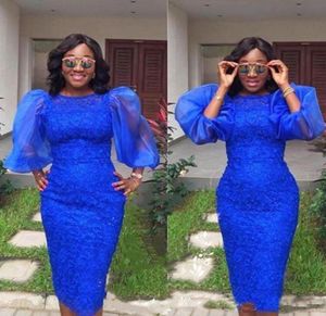 ASO EBI Korta cocktailklänningar med puffy ärm Royal Blue Homecoming Prom Dress Lace Kneelength Manthölje Evening Party Gowns6145690