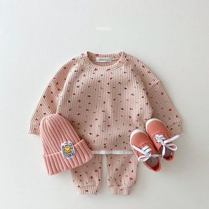 Criança crianças waffle algodão roupas conjunto muitas frutas impressão moletom calças casuais 2 pçs meninos terno roupas da menina do bebê 240313