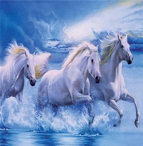 5D Diamond Embroidery needlework diy Diamond painting Cross Stitch Kits animal white horse sea full round diamond mosaic Room Deco2575617