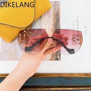 Sunglasses 2024 Fashion Global Star Like Internet Celebrity Blogger Women Man Brand Oculos Gafas De Sol Eyewear LW40049U