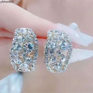 Internet Celebrity New High-end Light Luxury Earrings Temperament Niche Noble Female Fashion Ear Accessories 6ljq