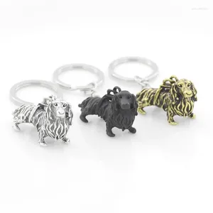 مفاتيح أزياء المجوهرات عتيقة dachshund keychain لطيف المعادن السجق الكلب keyrings للرجال هدايا محب للحيوانات الأليفة