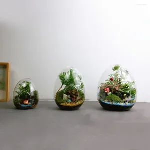 Vaser Creative Terrarium Egg-formade mikrolandskapsglasflaskor Succulent Vase Home Decoration