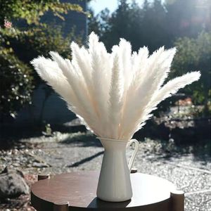 Dekorativa blommor 30st Pampas Grass Natural Dried Contsed Artificial Flower Wedding Party Ornament Bohemian Country Decor Accessories