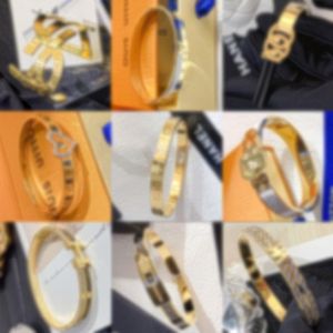 Braccialetti con ciondoli Bracciale da donna Gioielli di design di lusso Cristallo placcato oro 18 carati Placcato argento 925 Amanti dell'acciaio inossidabile Regalo Bangles245I