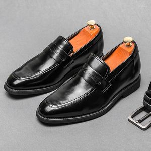 Freizeitschuhe Herren-Leder-Loafer Bequemes Fahren Männer Formelle Slip-On-Frühlings-Herbst-Kleid-Social-Fashion