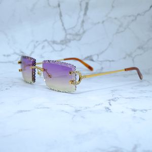 Rhinestones güneş gözlükleri buzlu elmas kesim güneş gözlüğü vintage carter lüks erkek tasarımcısı decoarion marka moda gözlük