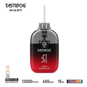 12000puff Tastefog Giant Disposable Vape 12K Puffs Rechargeable Ecig Wholesale