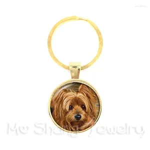 Keychains 2024 Dog Pet Keychain 25mm Round Glass Dome Animal Pattern Series Handgjorda Fashion Keyring Lover Creative Gift