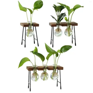 Wazony hydroponiczny wazon kwiatowy szklany pącz roślina terrarium dekoracyjne z drewnianym stojakiem na salon domowy stół jadalny