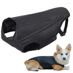 Cão vestuário suporte arnês malha design respirável disco proteção colete ótimo para pet mobilidade recuperação da coluna fácil de ajustar