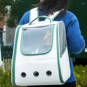 Cat Carriers Portable Breathable Carry Bag Space Large Capacity Dog Backpack Size Beautiful Female Pet Supplies