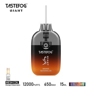 2024 China FactoryカスタマイズされたAspire Tasteefog Giant 12000 Puffs eタバコ使い捨て蒸気ボックス