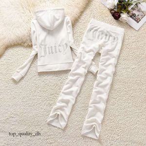 Designer Tracksuit Autumn Spring Women Sporting Womens Tracksuit Two -Piece Fashion Suit Velvet Women Tracksuit Breattable Juciy Coture Tracksuit 852