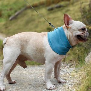 Hundbärare kylkrage bandana för sommarlättningsfeber blinkar husdjur justerbar kyla ner sval
