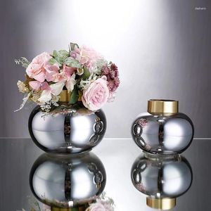 Vaser pläterade nickelfärg set kopparring glas vas kreativ oval hjärttyp blomma ordförande enhet dekorativa ornament