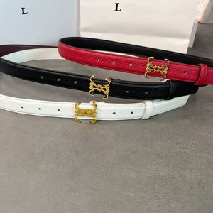 Belt designer belt luxury brand belts belts for men women vintage design Big Letter Casual Business Fashion Smooth Buckle designer belt Unisex petty nice 334