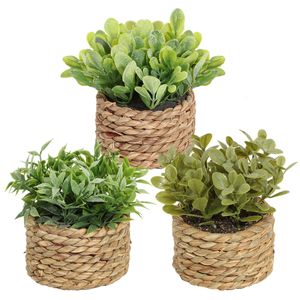 SIA FLOWER Green Artificial Plants Eucalyptus Grass Woven Small Potted Mound 11cm PE Material Home Decoration 240322