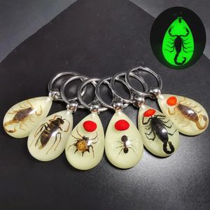 Resin Amber Spiders Keychain Pendant Stone Insect Spcimen Necklace Gemstone Table Decor DIY Jewelry Craft Key Ring 240314