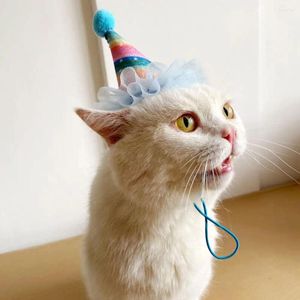 Hundkläder husdjur katt födelsedag kostym hatt halsduk justerbar söt haklapp krage båge för valpfest tillbehör