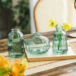 Simples e moderno mini vaso de vidro verde transparente ornamento aquático arranjo flor pequeno alívio flor vaso mesa vaso 240311