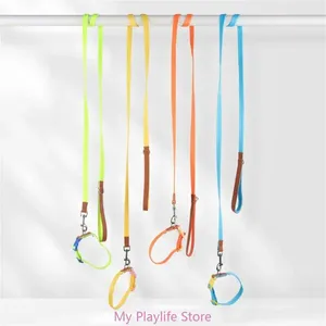 Dog Collars Collar Leash Slip Walking Rope Long Pet Strong Training Swimming Hiking