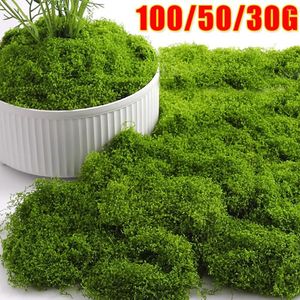 装飾的な花100/30gシミュレーション植物のための緑のモスフェイク