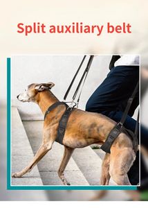 Coleira ajustável para cães, alça de ombro, pernas traseiras, suporte para quadril, assistência para animais de estimação e reabilitação adaptativa, alça de elevação de cães 240322