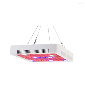 Grow Lights Bitki Lambası 100 LEDS Kapalı Bahçe Serası Hidroponik Kutusu Büyüme Eu Fiş için Tam Spektrum LED Işık Paneli