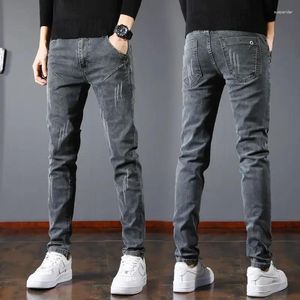 Mäns jeans koreanska smala modetrend grå byxor rak elastisk liten ben sommar mångsidig fritidskläder